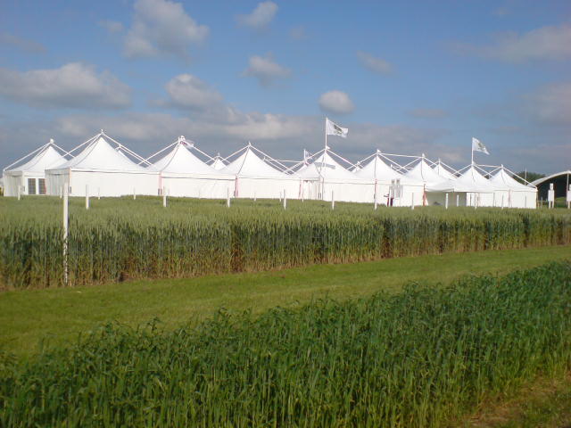Festivals & Sporting Events (4)